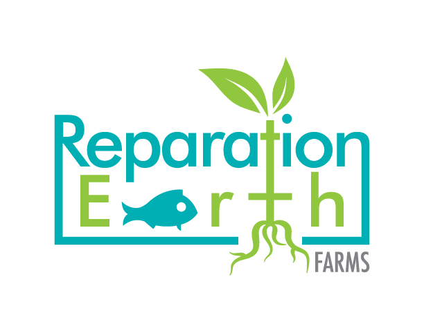 Reparation Earth